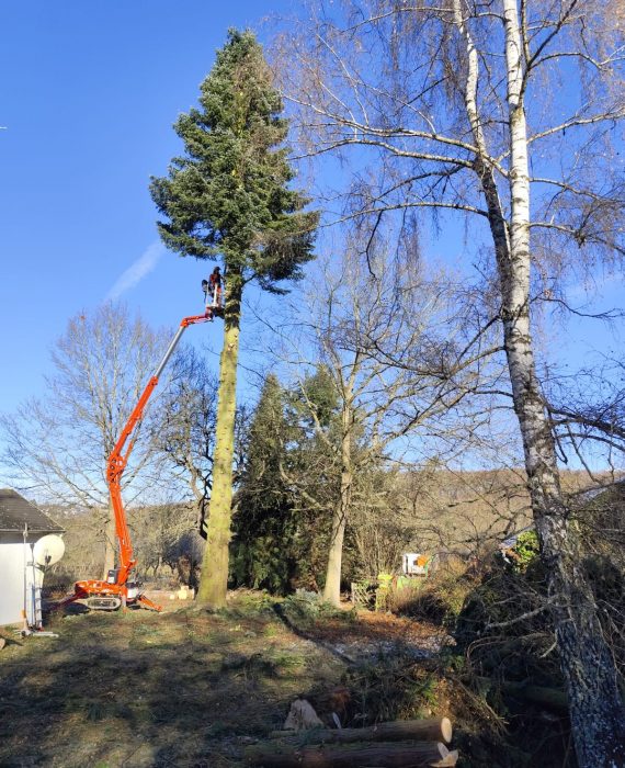 WhatsApp Image 2026-02-08 at 12.18.38